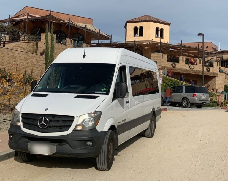 The Bandwagon Sprinter limo, side view